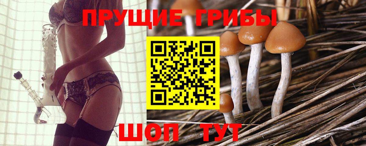 Воркута  Галлюциногенные грибы Psilocybe  Вход с VPN  Галлюциногенные грибы Psilocybe 